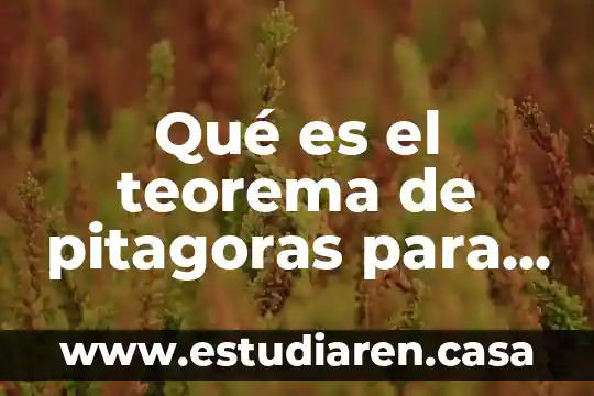Qué es el teorema de pitagoras para niños