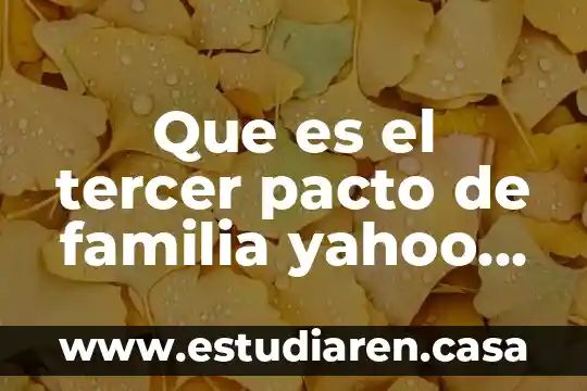 Que es una submascara de red yahoo 6 Que es el tercer pacto de familia yahoo respuestas