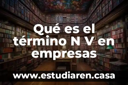 Qué es el término N V en empresas