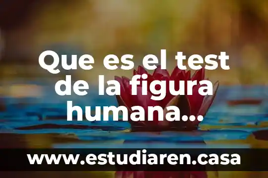 Que es el test de la figura humana conclusiones