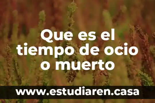 Que es el tiempo y el espaco ficticio 6 Que es el tiempo de ocio o muerto