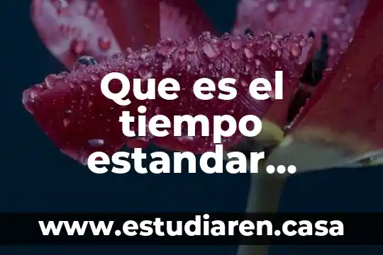 Que es el tiempo estandar elemental