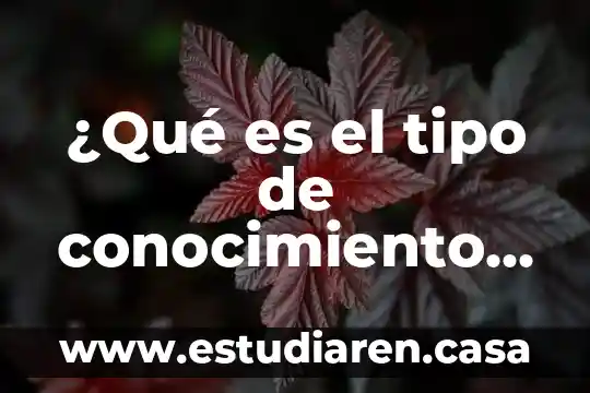 Qué es el conocimiento de embarue 4 ¿Qué es el tipo de conocimiento filosófico y sus características?