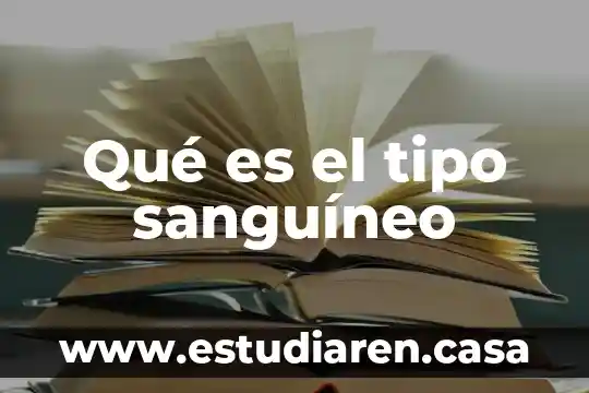 Qué es el tipo sanguíneo
