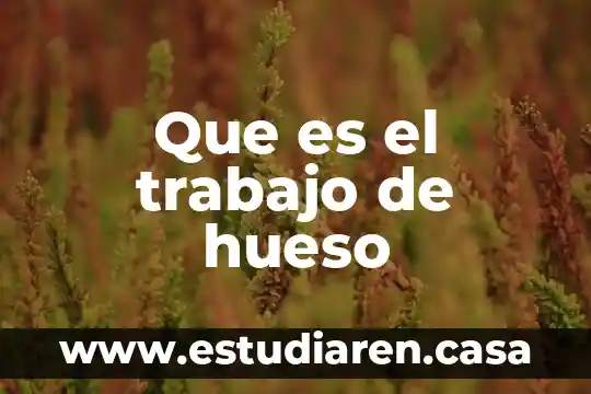 Que es el argumento de un trabajo 7 Que es el trabajo de hueso