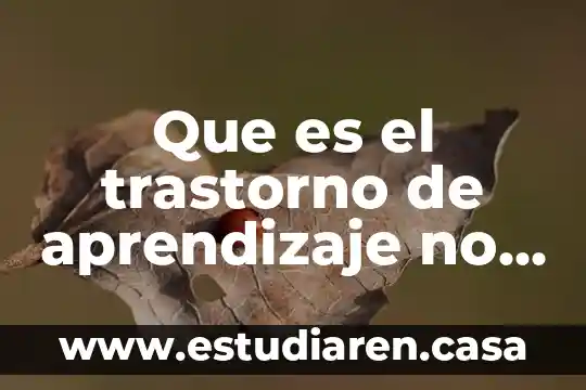Que es el trastorno del lenguaje 5 Que es el trastorno de aprendizaje no verbal
