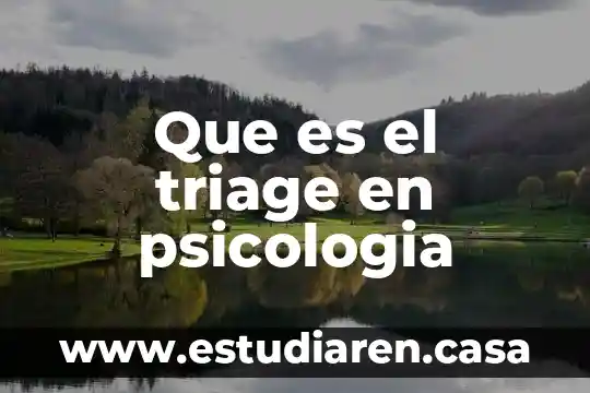Que es el triage en psicologia
