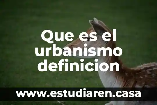 Que es multidimensional definicion 6 Que es el urbanismo definicion
