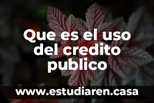 Que es motivacion de cobranza en un departamento de credito 6 Que es el uso del credito publico