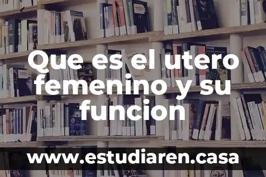 Que es el utero femenino y su funcion