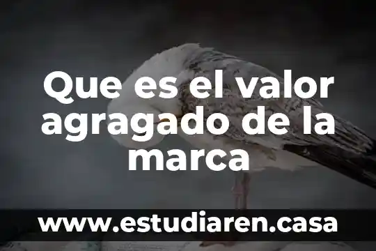 Civismo que es un valor 8 Que es el valor agragado de la marca