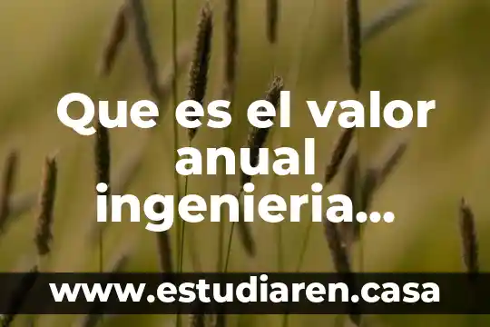 Que es el valor anual ingenieria economica