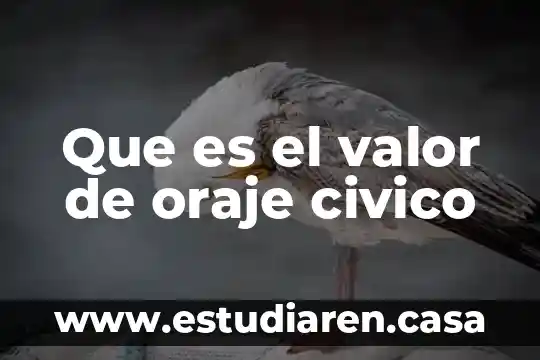 Que es valor civico de nacionalismo 4 Que es el valor de oraje civico