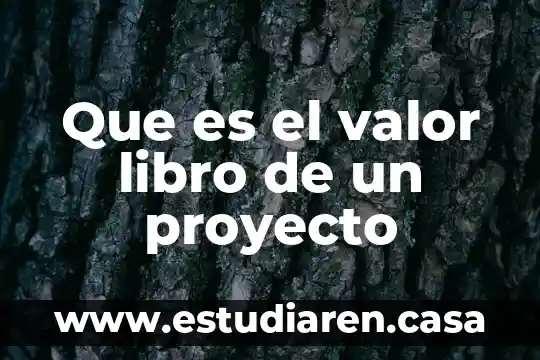 Que es una solapa en un libro 3 Que es el valor libro de un proyecto