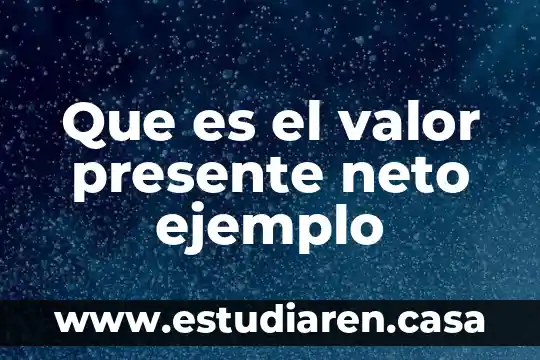 Que es el valor presente neto ejemplo