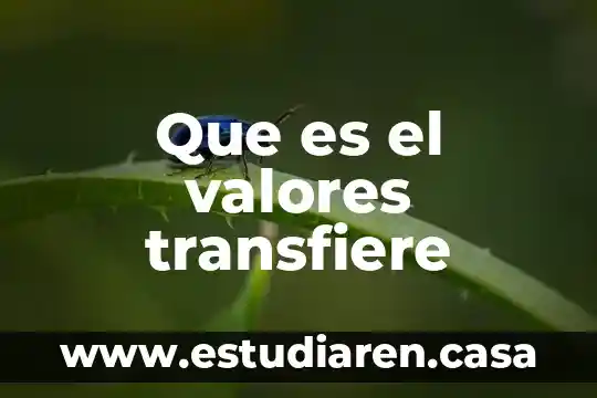 Que es el valores transfiere