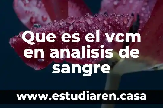 Que es primero la idea o el analisis de negocio 3 Que es el vcm en analisis de sangre