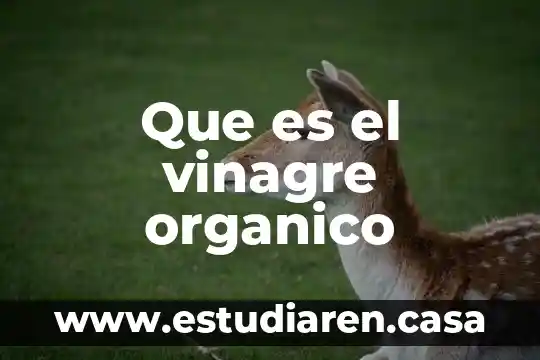 Que es el vinagre organico