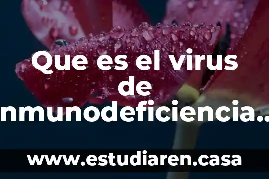 Que es el virus de inmunodeficiencia humana vih