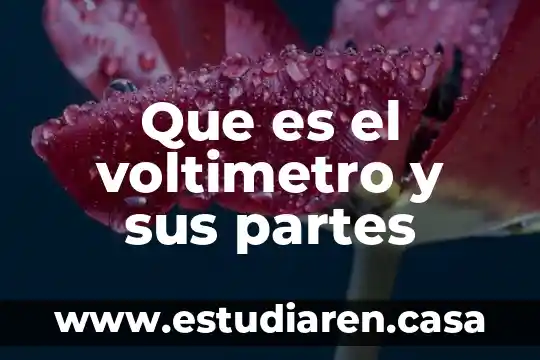 Qué es el periodico y partes del periodico 7 Que es el voltimetro y sus partes