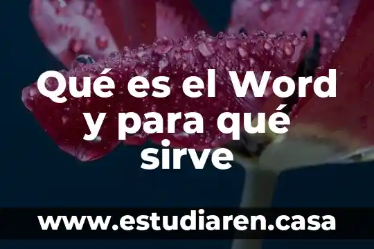 Que es skip netplay o para que sirve 5 Qué es el Word y para qué sirve