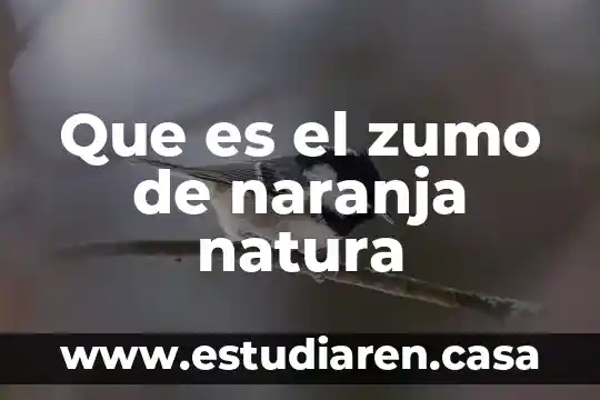 Que es el zumo de naranja natura