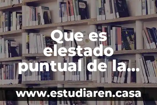 Que es elestado puntual de la mente psicologia