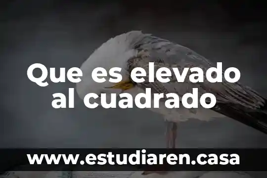Que es un trinomi cuadrado perfecto con tres ejemplos 4 Que es elevado al cuadrado