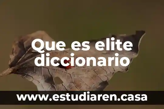 Que es el diccionario y su uso 8 Que es elite diccionario