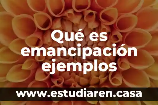 Qué es emancipación ejemplos