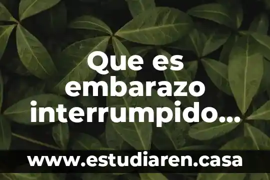 Que es embarazo interrumpido informacion