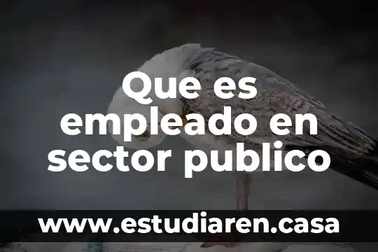 ¿Qué es el Ministerio Público? 6 Que es empleado en sector publico