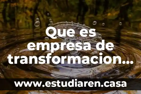 Que es empresa de transformacion segun autores