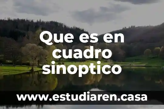 Que es cuadro sinoptico de las medidas cautelares 3 Que es en cuadro sinoptico