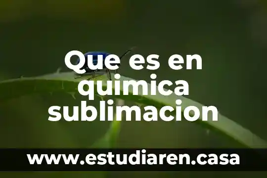 Qué es mejor sublimación o vinil o serigrafia 4 Que es en quimica sublimacion