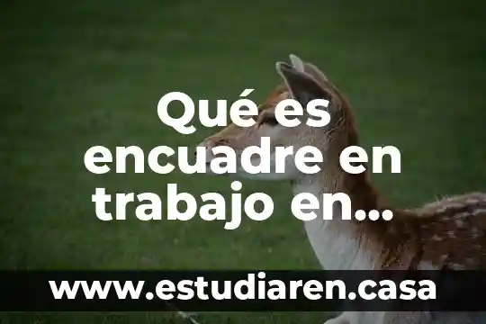Qué es encuadre en trabajo en equipo