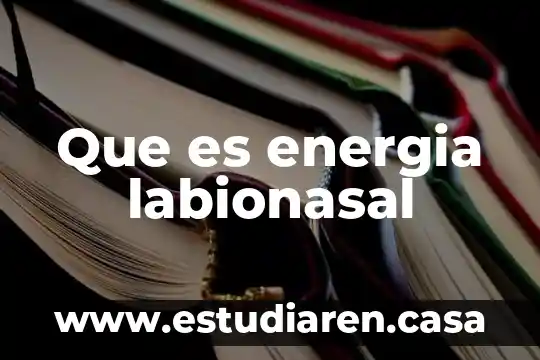 Que es energia labionasal