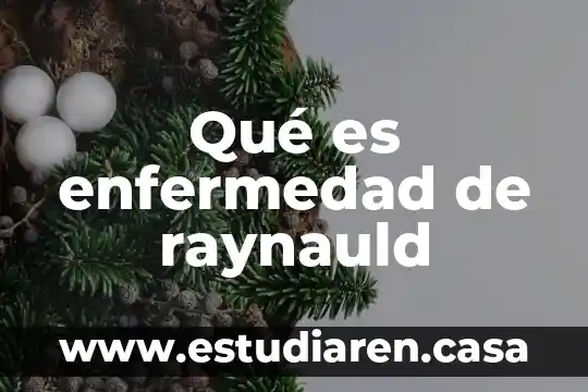Que es la enfermedad parkison 7 Qu茅 es enfermedad de raynauld