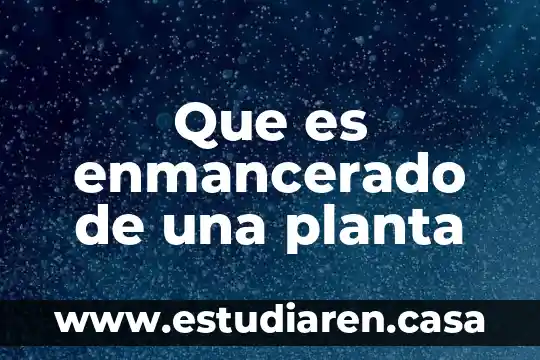 Que es enmancerado de una planta