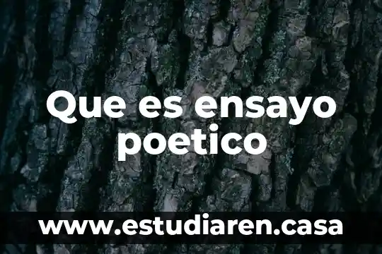 Qué es movimiento poético contemporáneo 7 Que es ensayo poetico