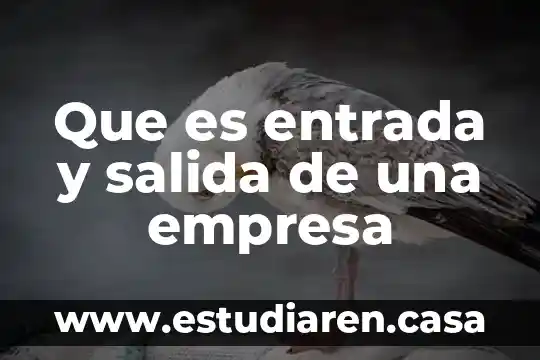 Que es economia y economia de la empresa 6 Que es entrada y salida de una empresa