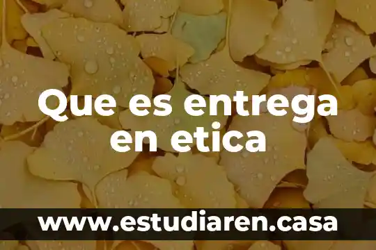 Qué es un salvaguardas código de ética 3 Que es entrega en etica