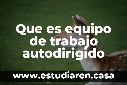 Que es equipo de trabajo autodirigido