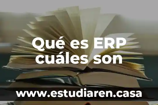 Qué es ERP cuáles son