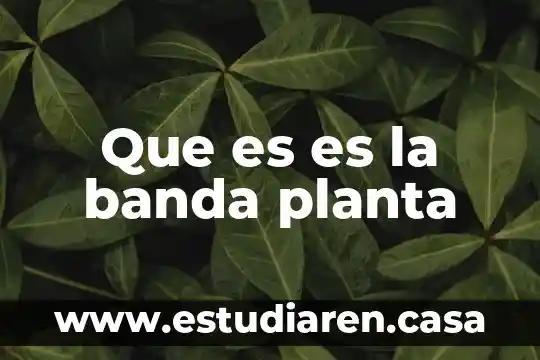 Que es es la banda planta