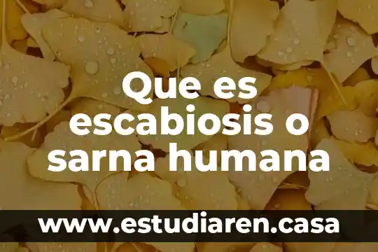 Que es escabiosis o sarna humana