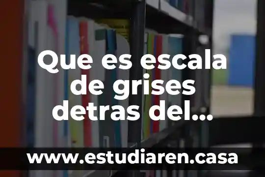 Qué es una escala relativa física 5 Que es escala de grises detras del texto en word