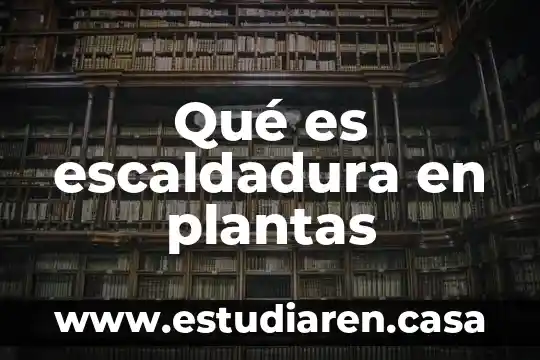 Que es asexualidad de las plantas 3 Qu茅 es escaldadura en plantas