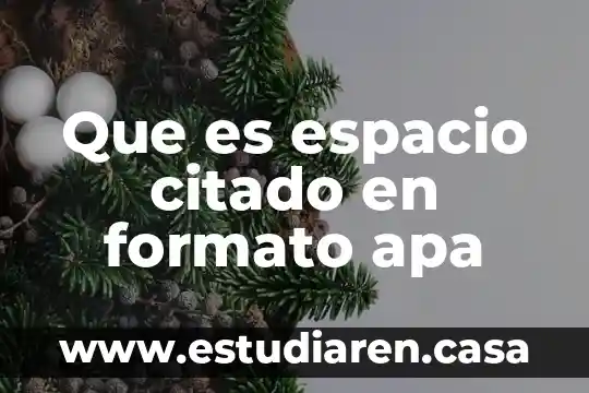 Que es el formato apa redalyc 7 Que es espacio citado en formato apa