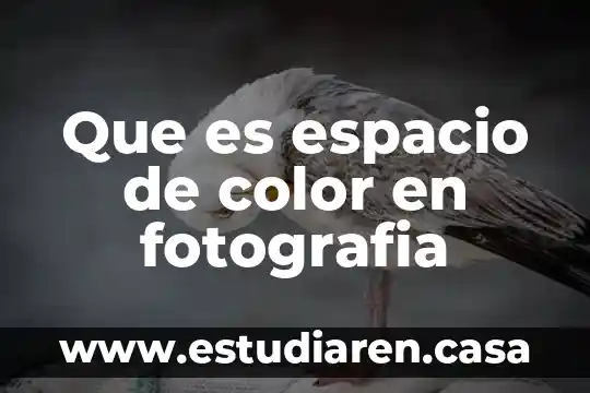 Que es espacio de color en fotografia
